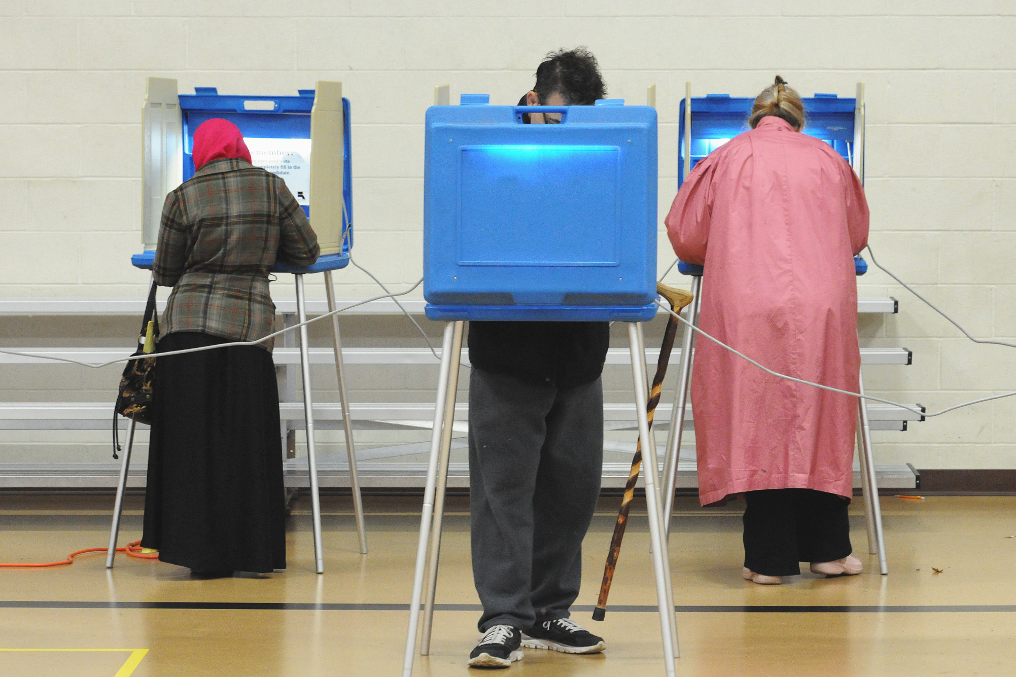 People Voting in Booths